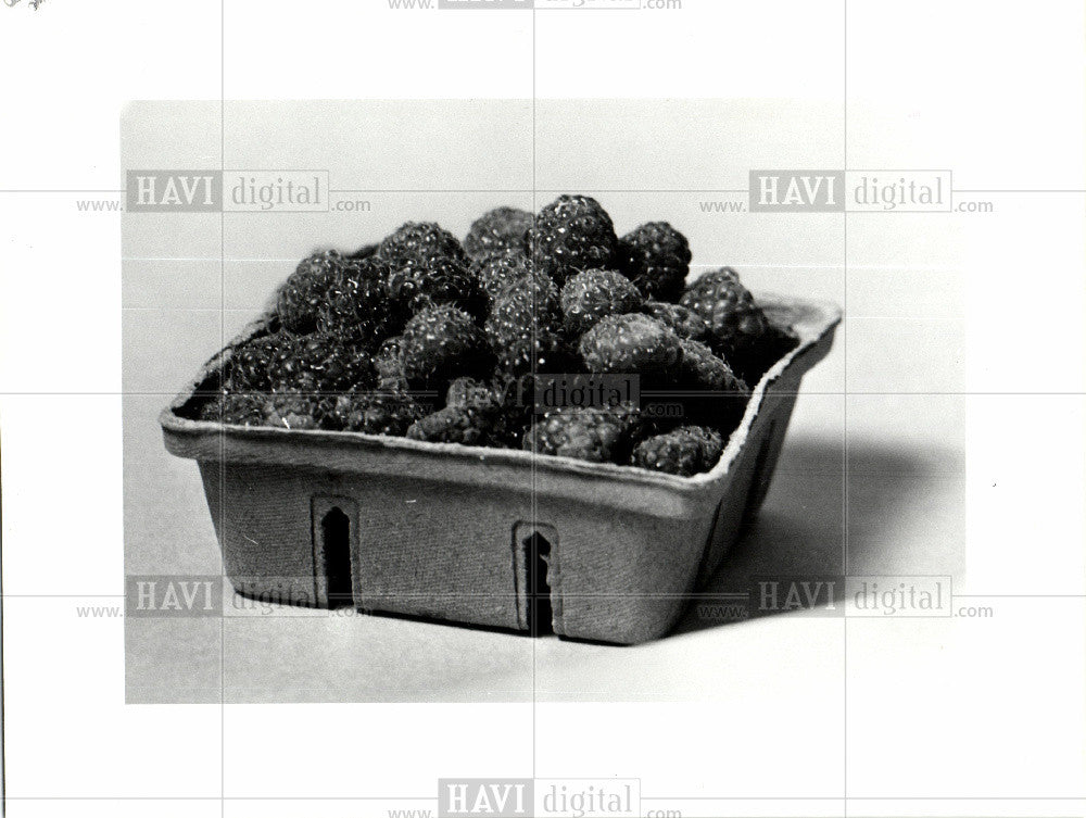 1986 Press Photo raspberries - Historic Images