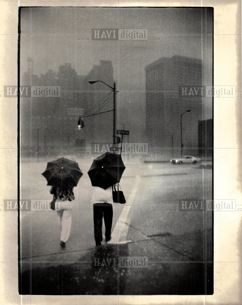 Press Photo Rain  liquid - Historic Images