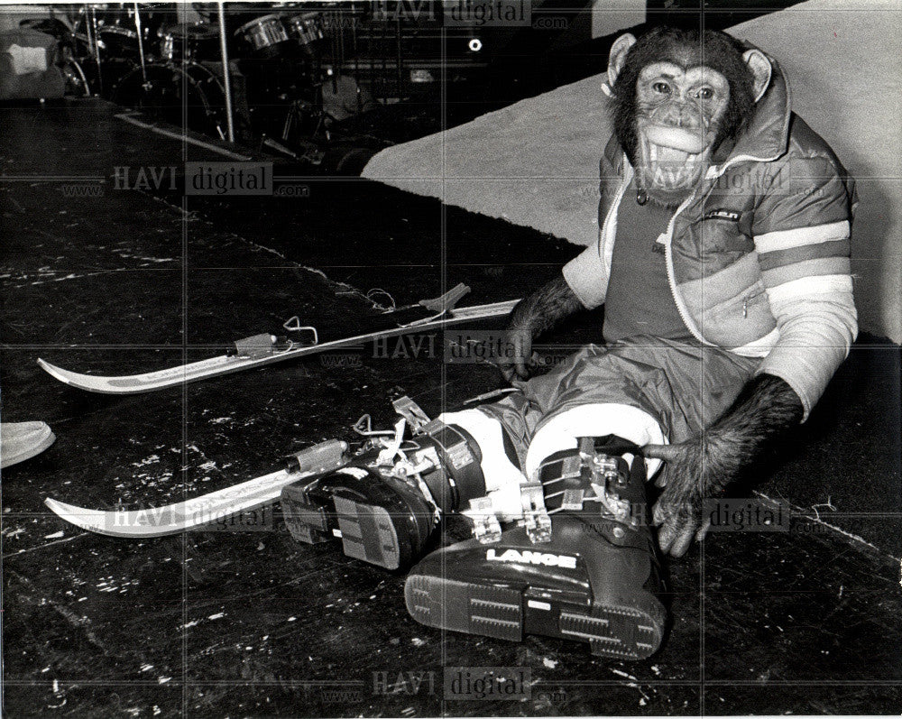 1978 Press Photo DEENA GLIDES DOWN THE SLOPE - Historic Images