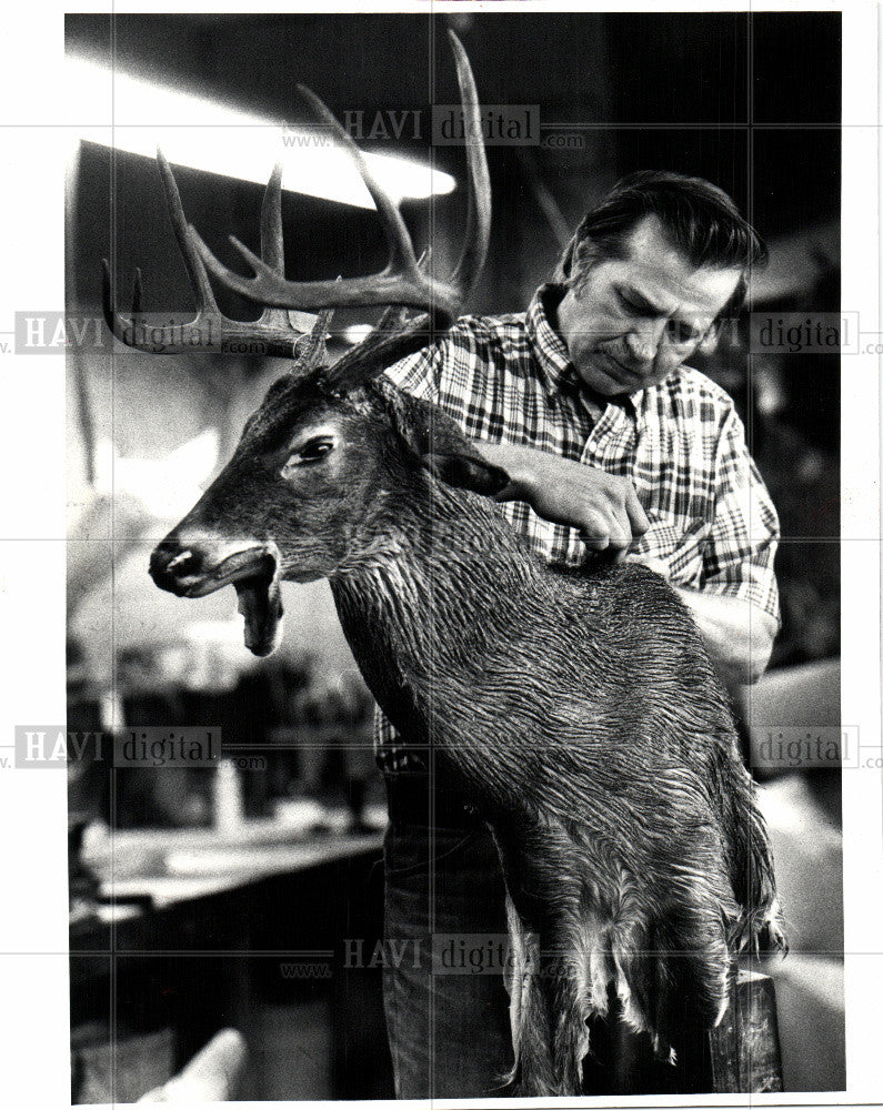 1981 Press Photo John Shalvis Artist - Historic Images