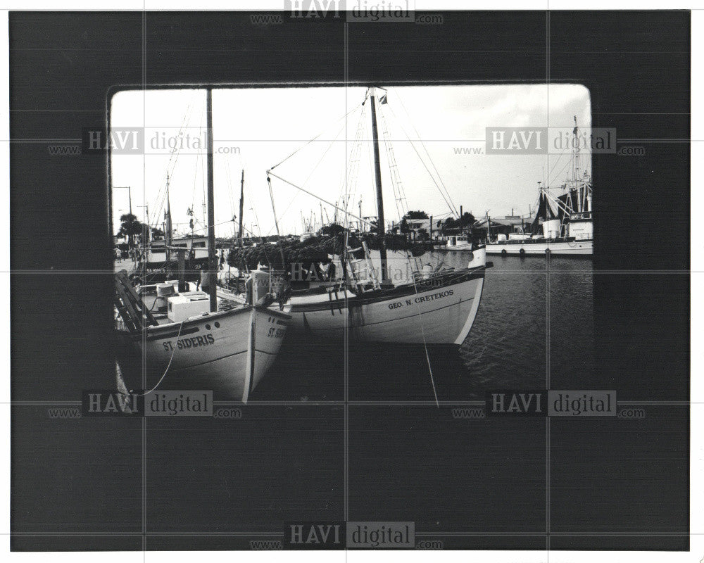 1981 Press Photo Tarpon Springs - Historic Images