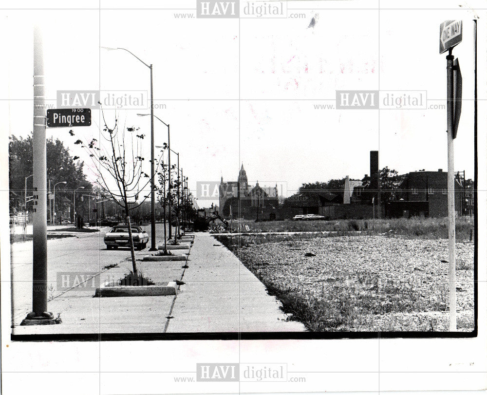 1977 Press Photo Twelfth Street Riot shopping center - Historic Images