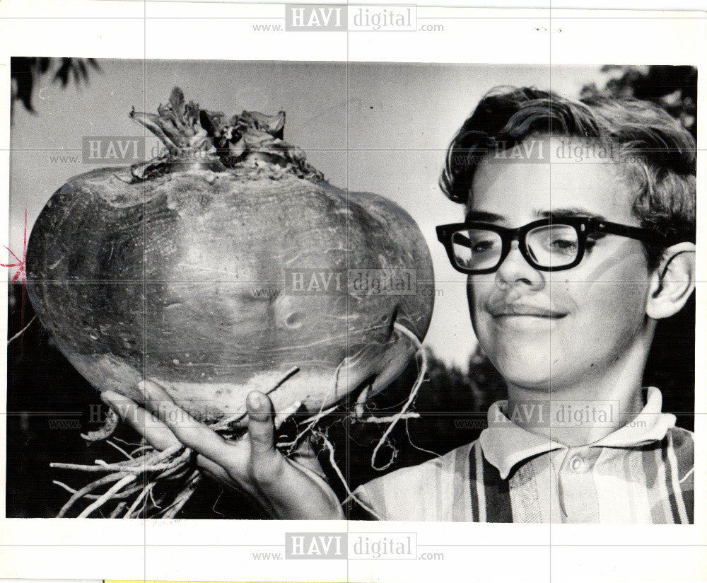 1968 Press Photo Turnip - Historic Images