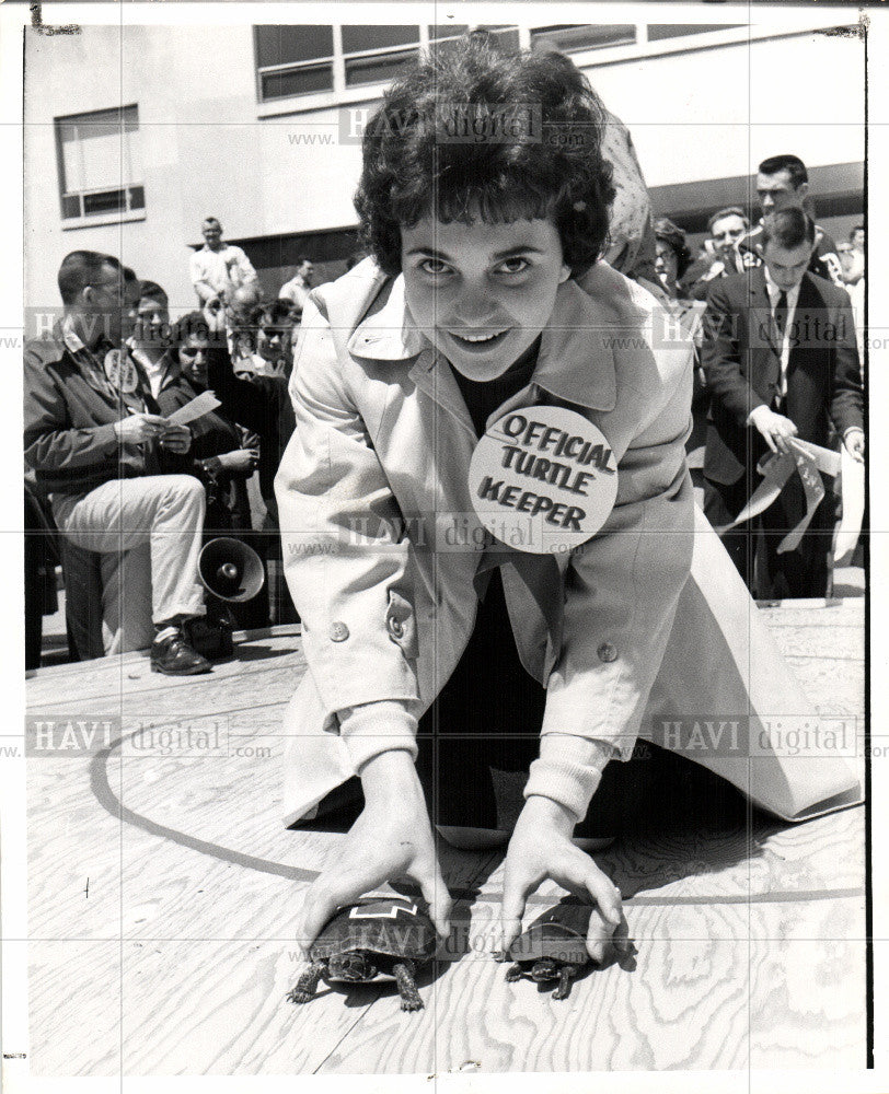 1960 Press Photo Turtles reptiles - Historic Images