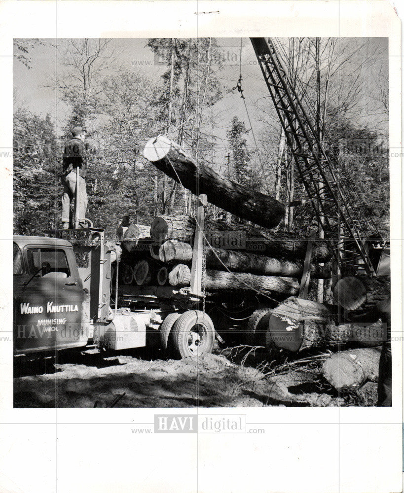 1960 Press Photo tree farm logging - Historic Images