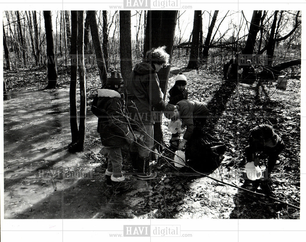 1985 Press Photo Hoyle gallons of collected sap tree - Historic Images