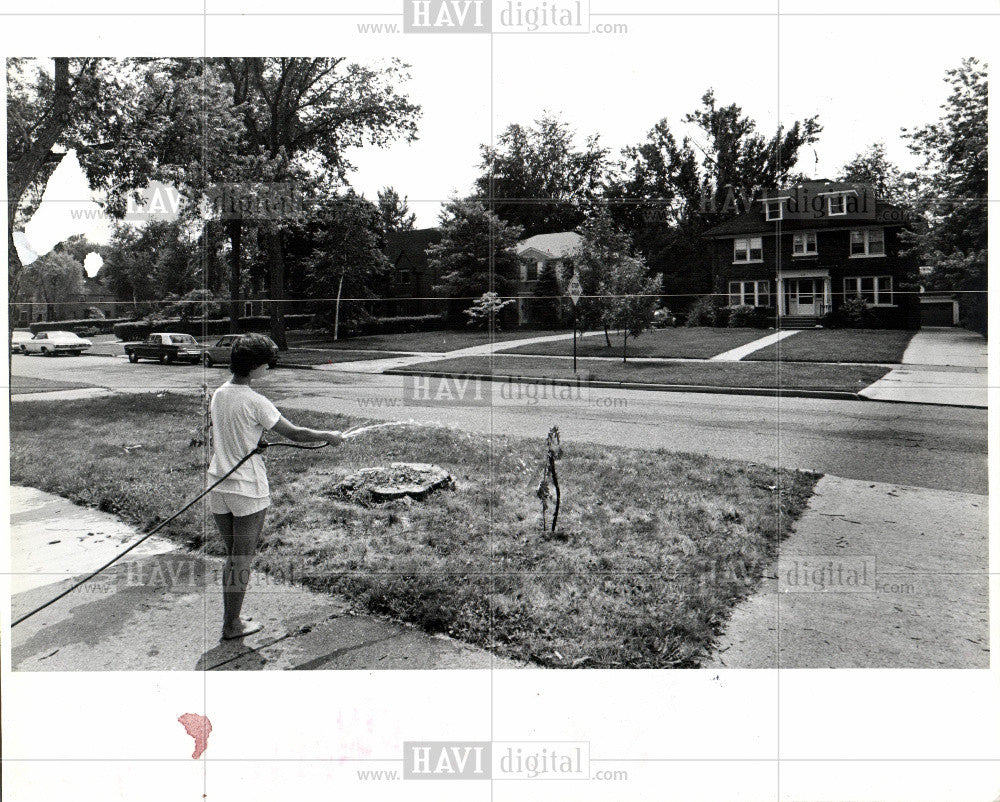 1980 Press Photo Sharon Collier - Historic Images