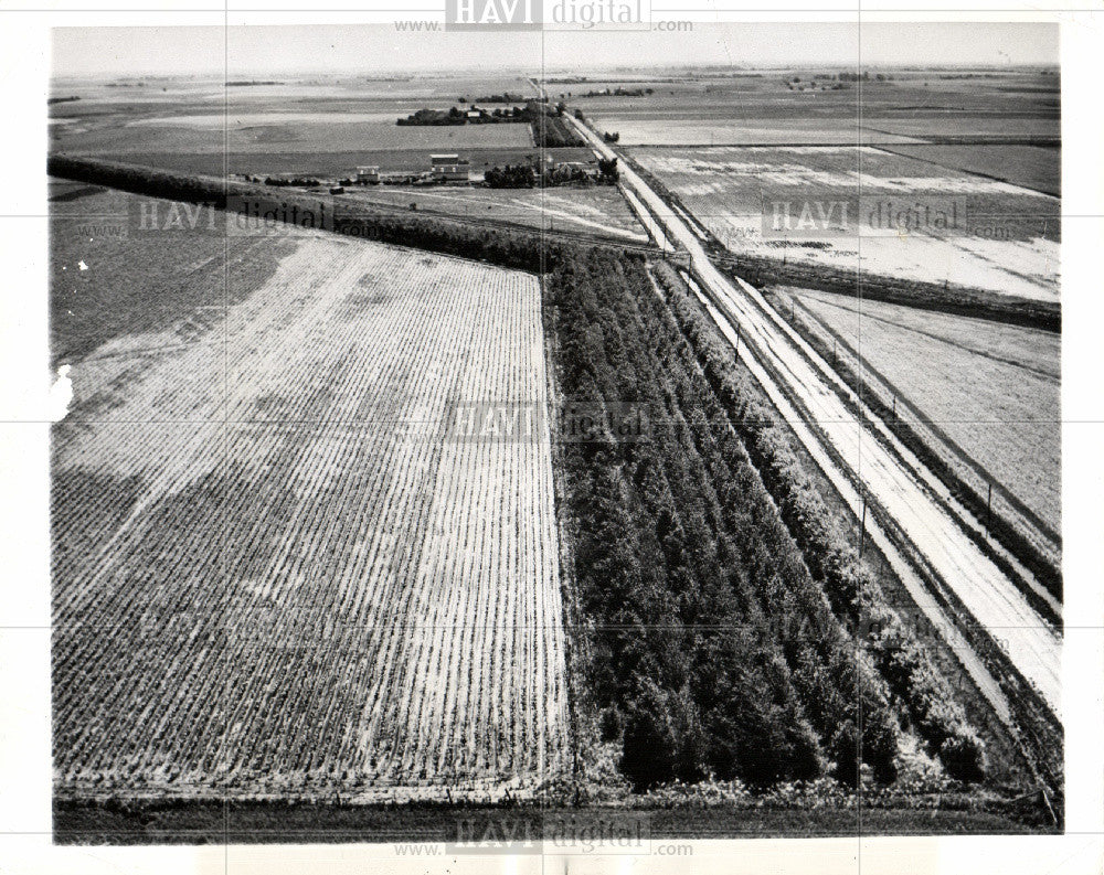 1948 Press Photo Dorothy Jones Farm - Historic Images