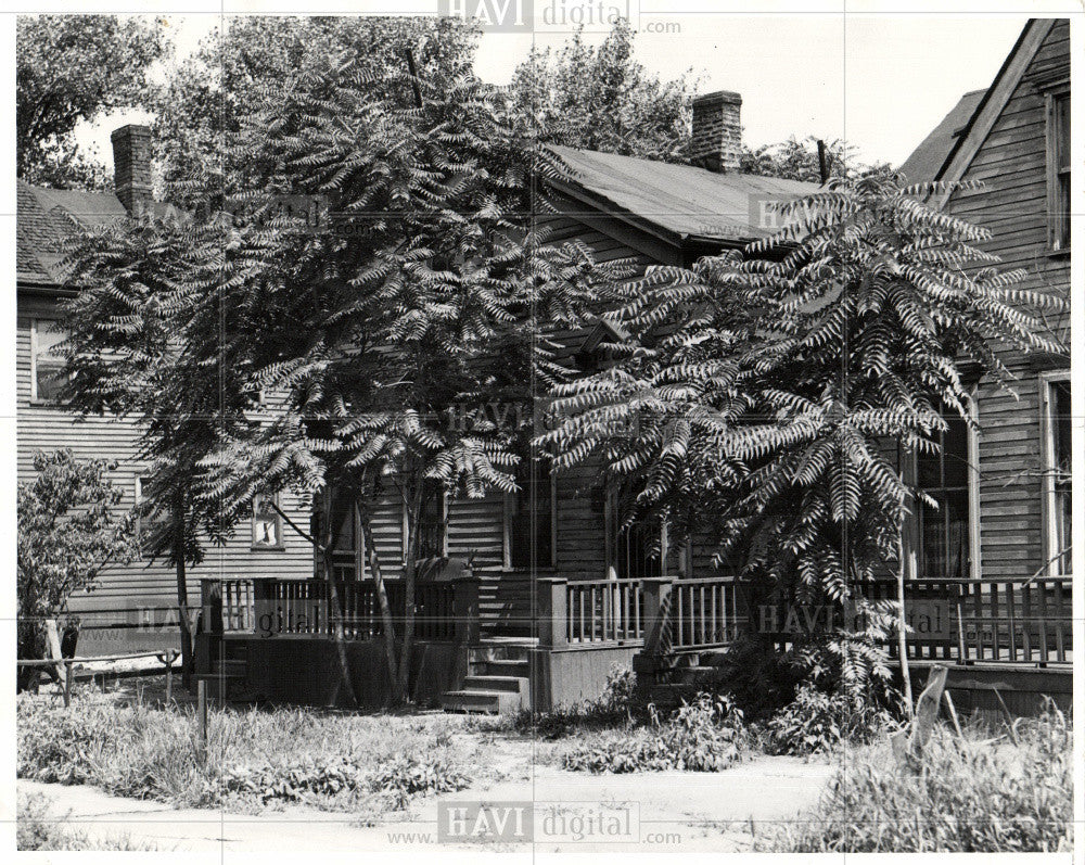 1940 Press Photo tree home porch - Historic Images