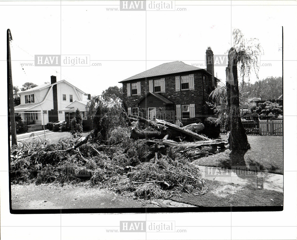 1976 Press Photo Scripps Detroit House Tree Yard Damage - Historic Images