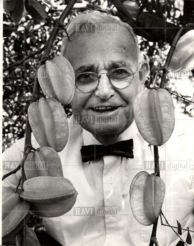 1965 Press Photo CARAMBOLA ,PETERSBURG. - Historic Images