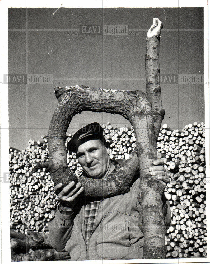 1961 Press Photo trees, loop, filer city, gordon bauman - Historic Images