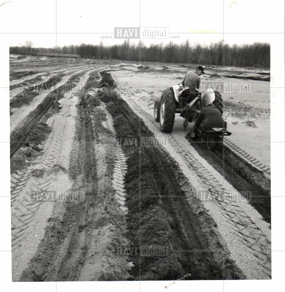 Press Photo Tree Farms men working till soil - Historic Images