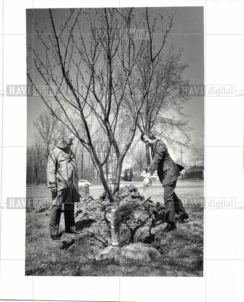 1981 Press Photo Cherry Prunus Fleshy Stone Fruit - Historic Images