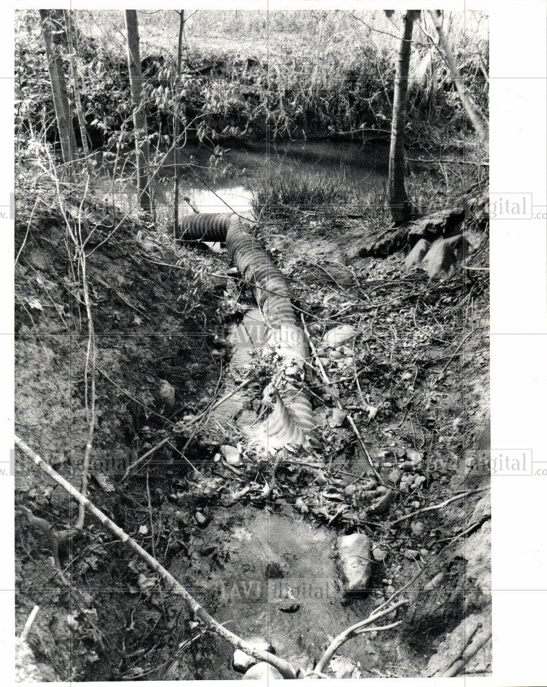 1981 Press Photo Chemical Dumping - Swartz Creek - Historic Images