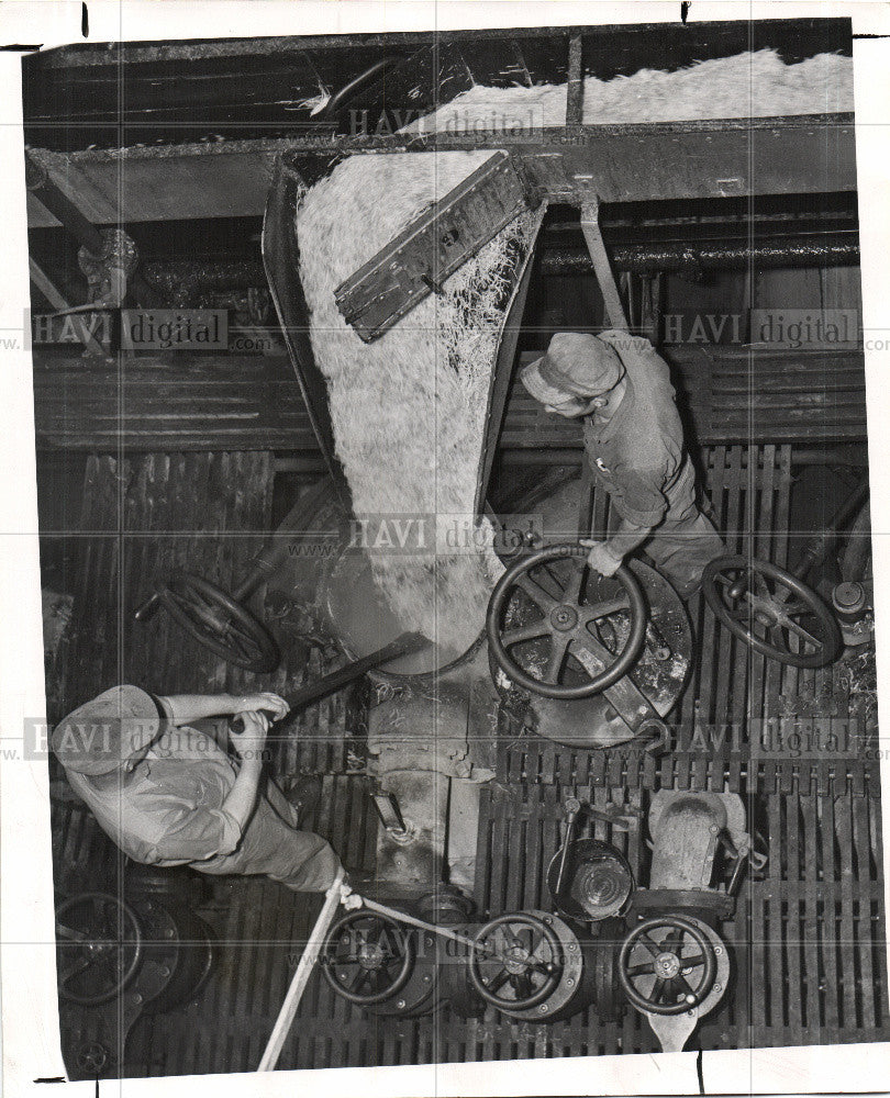 1947 Press Photo sugar beets shoe strings conveyor - Historic Images