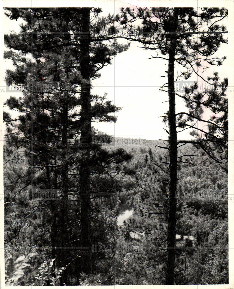 1979 Press Photo Sturgeon  flowing Upper Peninsula - Historic Images