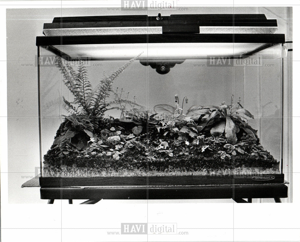 1976 Press Photo Terrarium, Aquarium - Historic Images