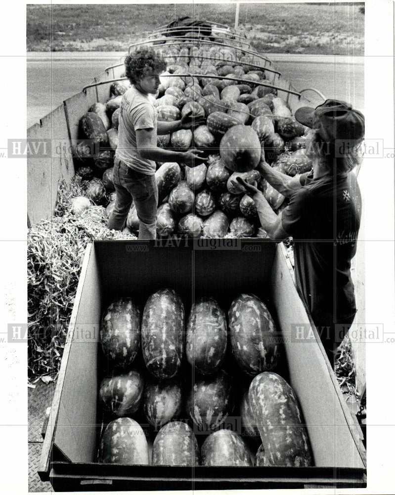 1992 Press Photo Watermelon - Historic Images