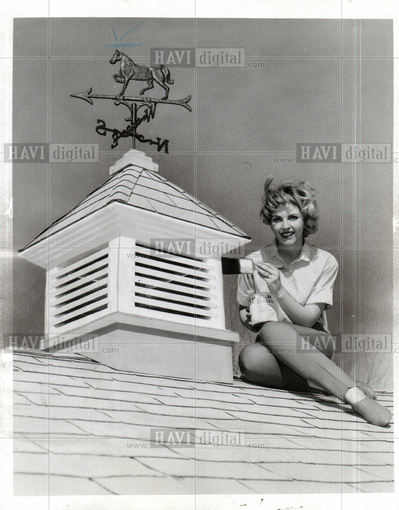 1969 Press Photo Weather vane - Historic Images