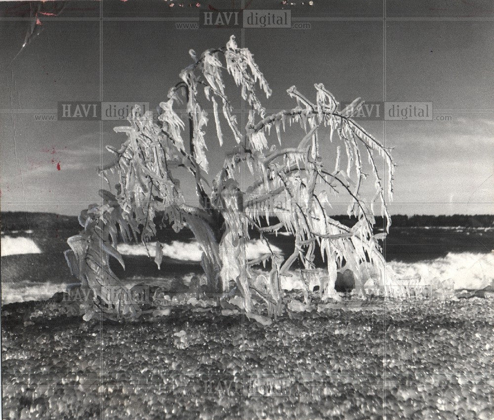 1965 Press Photo When Nature turns Winter Artist - Historic Images