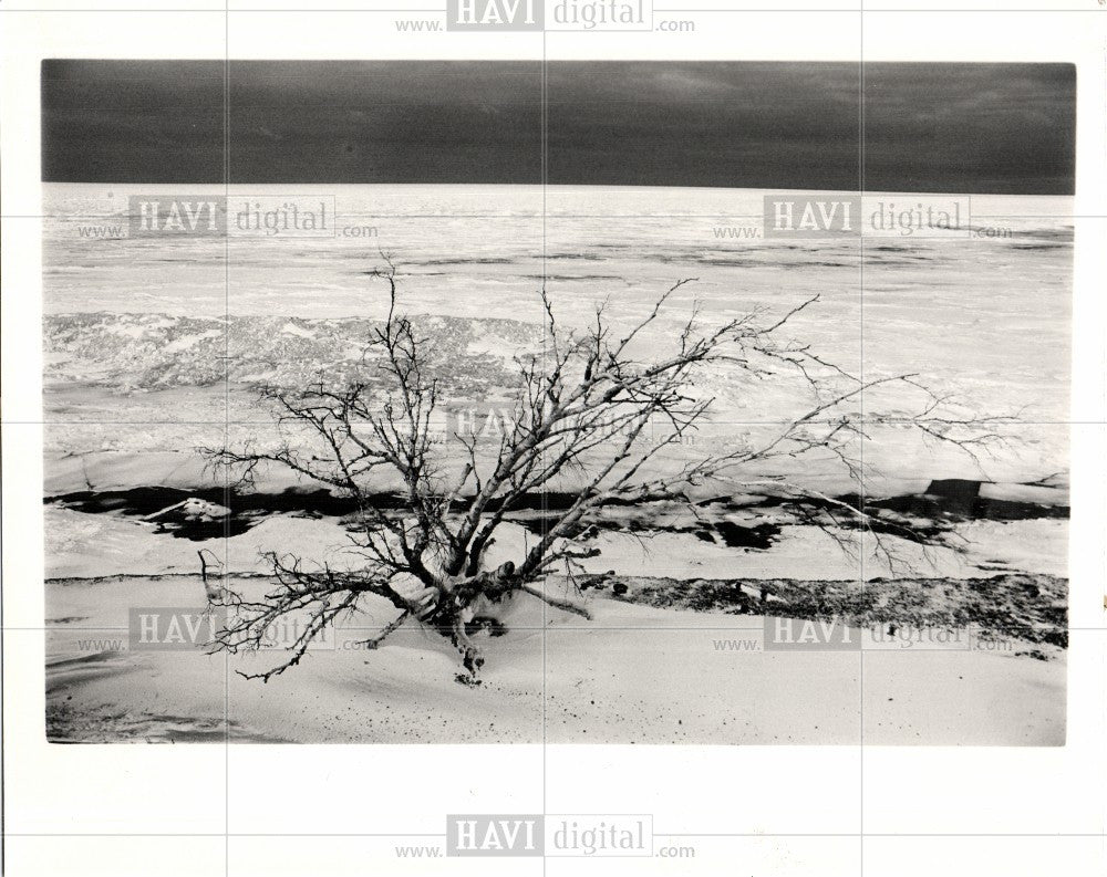 1986 Press Photo Winter Scene - Historic Images