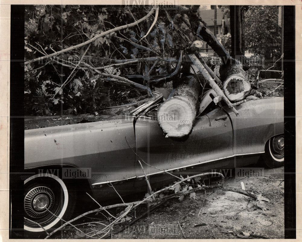 1968 Press Photo car crushed tree storm Michigan - Historic Images