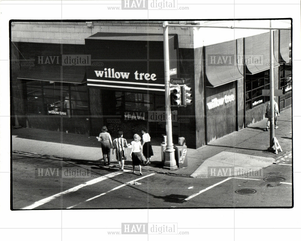 1986 Press Photo Downtown WILLOW TREE STORES - Historic Images