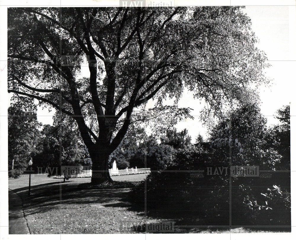 1974 Press Photo White House Gardens - Historic Images