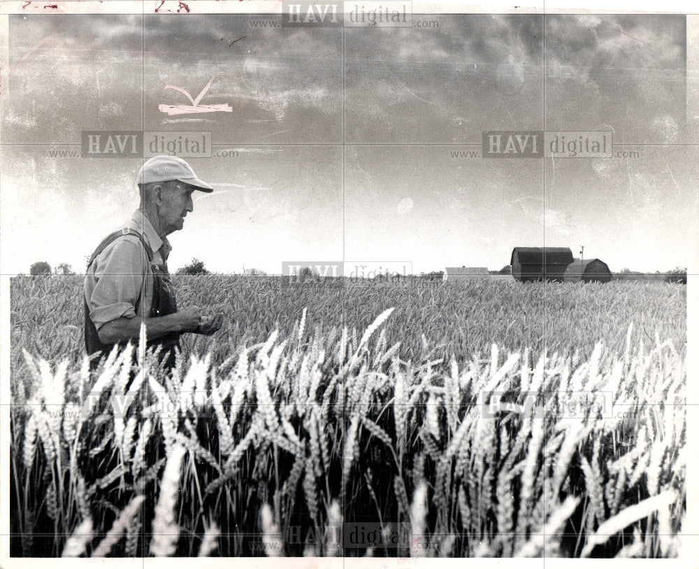 1965 Press Photo Howard Hixson farm wheat - Historic Images