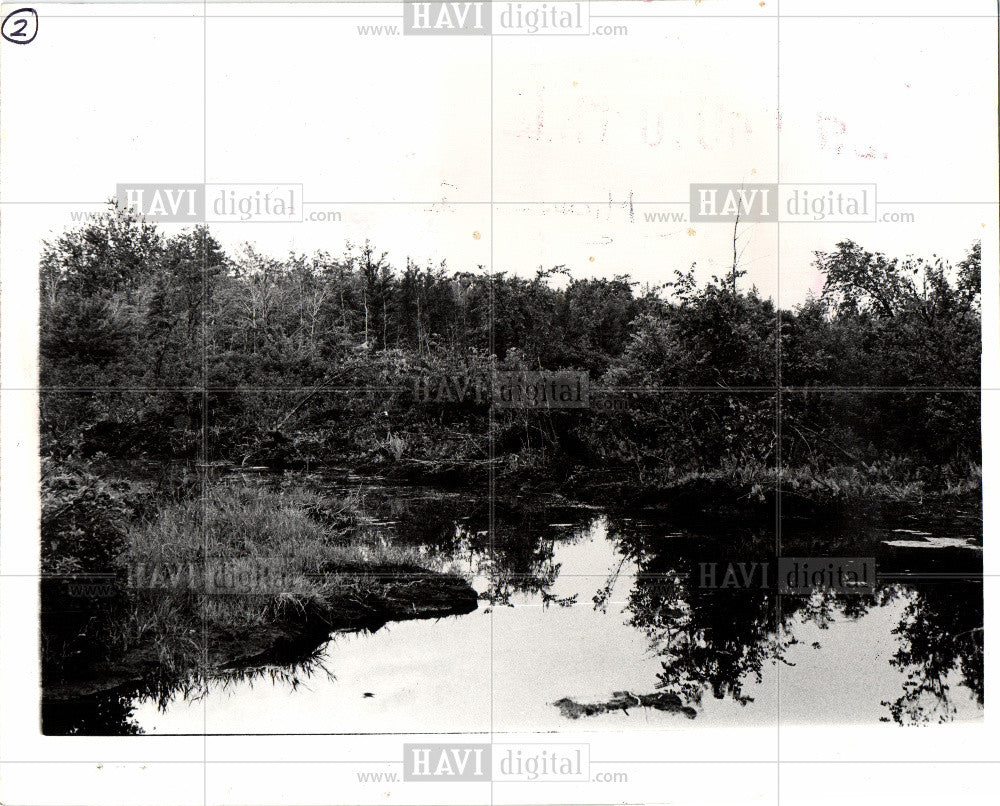 1976 Press Photo Drainage channel wetlands - Historic Images