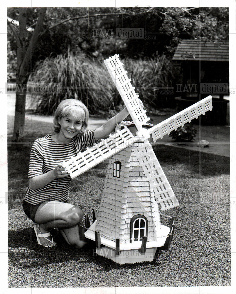 1969 Press Photo WINDMILL OUTDOOR STYLE - Historic Images