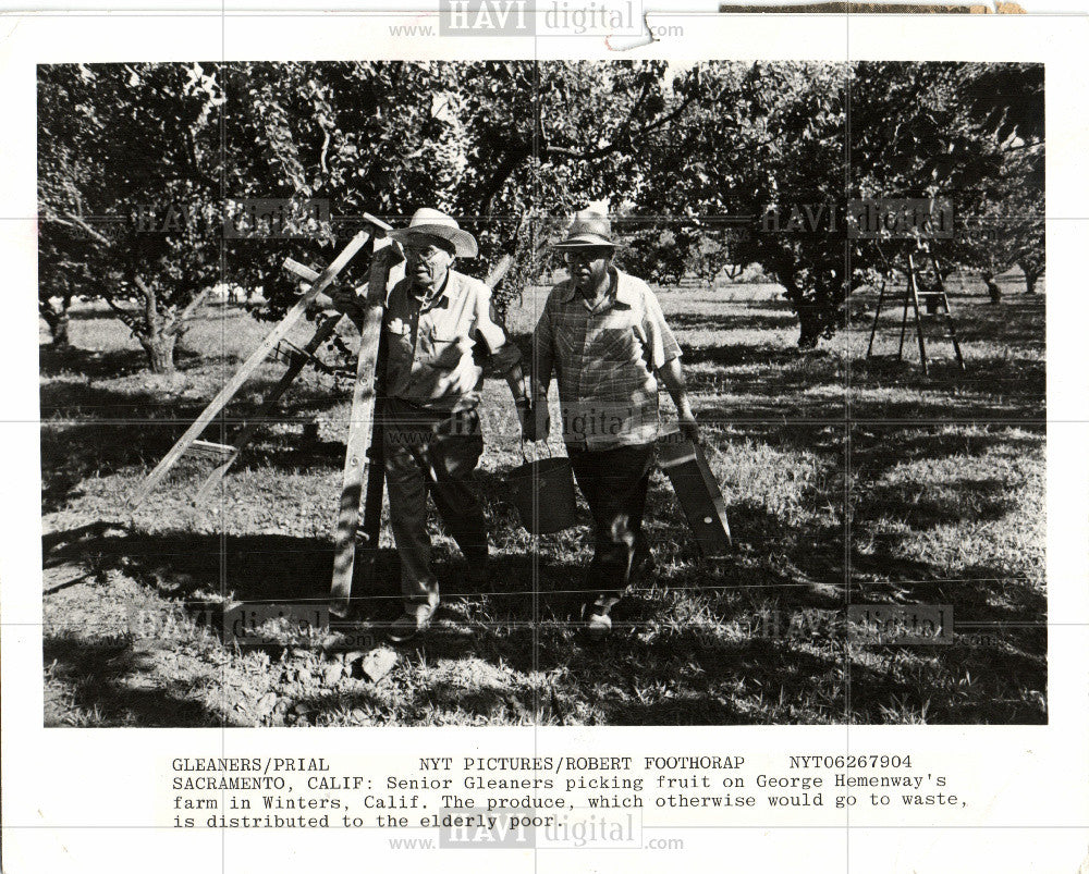 1979 Press Photo George Hemenway donates produce - Historic Images