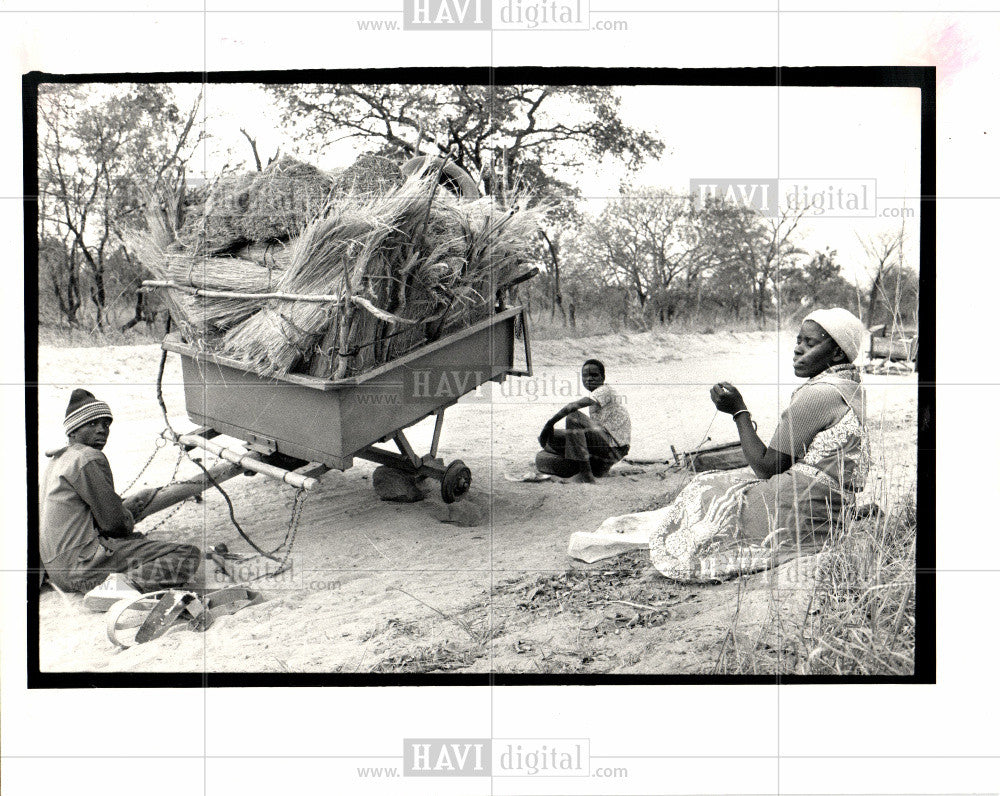 1987 Press Photo Dsiabled Weed Cart Figtree Zimbabwe - Historic Images