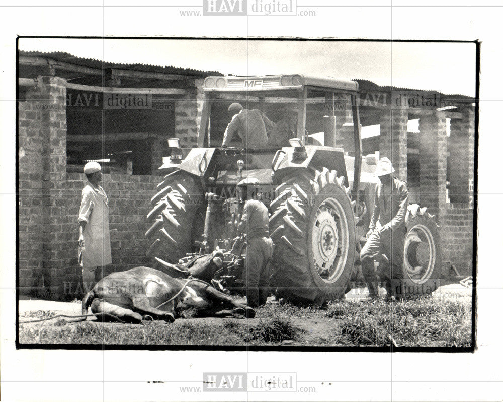 1987 Press Photo ANC Farm Outside Lusaka - Historic Images