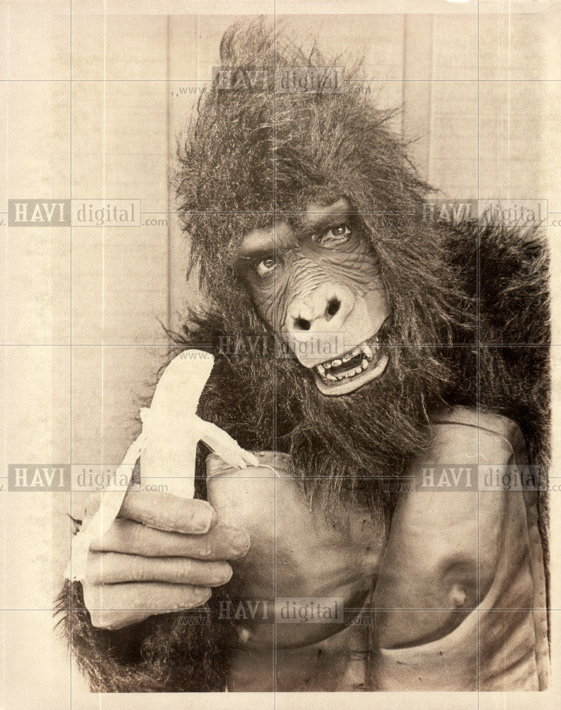 Press Photo gorilla gram banana - Historic Images