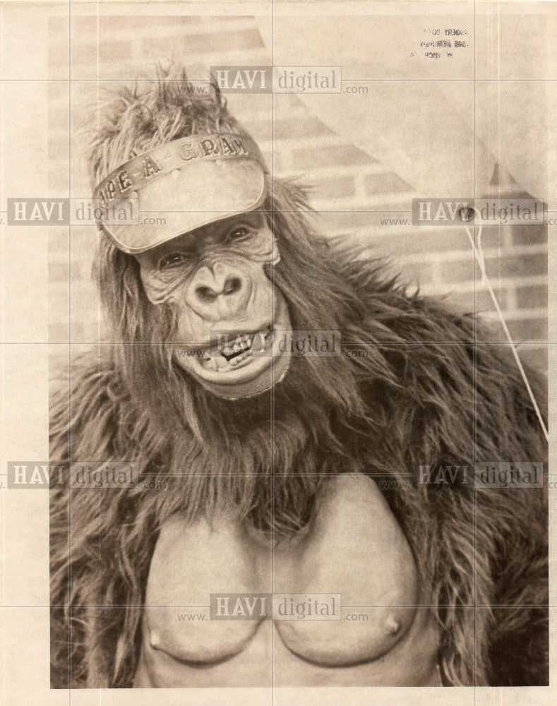 Press Photo ape costume balloons Ernie Kitson - Historic Images