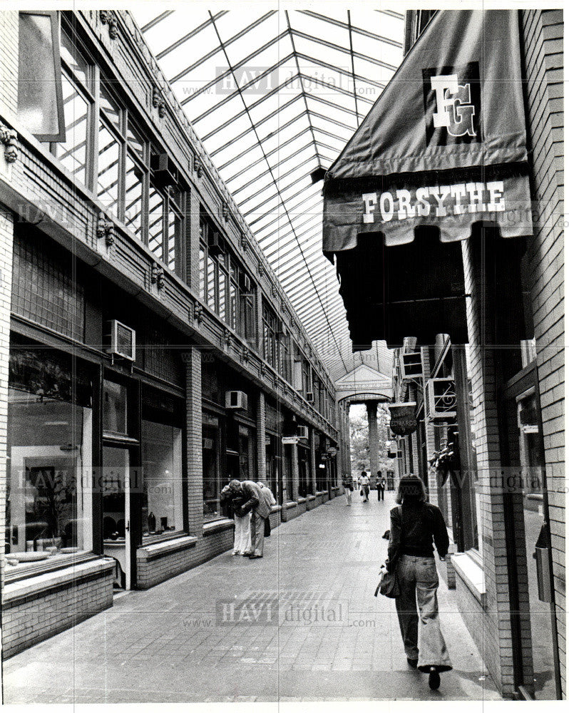 1978 Press Photo Ann Arbor Michigan - Historic Images