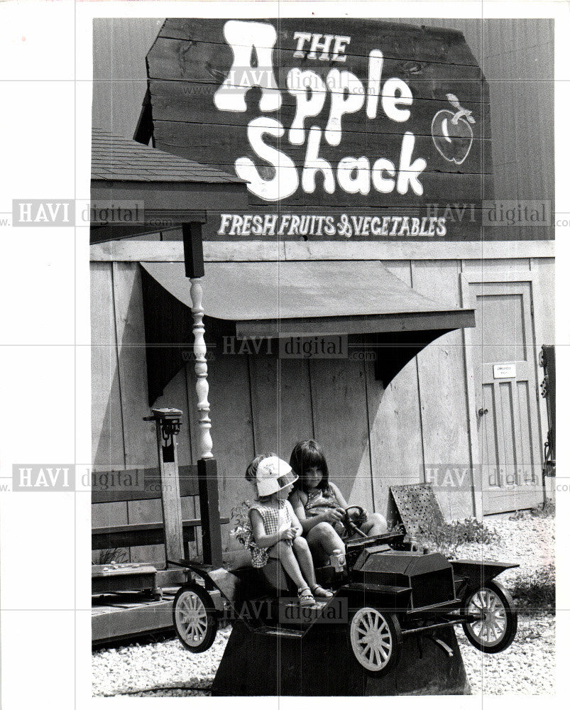 1970 Press Photo Amusement Park, The Farm, Windsor - Historic Images