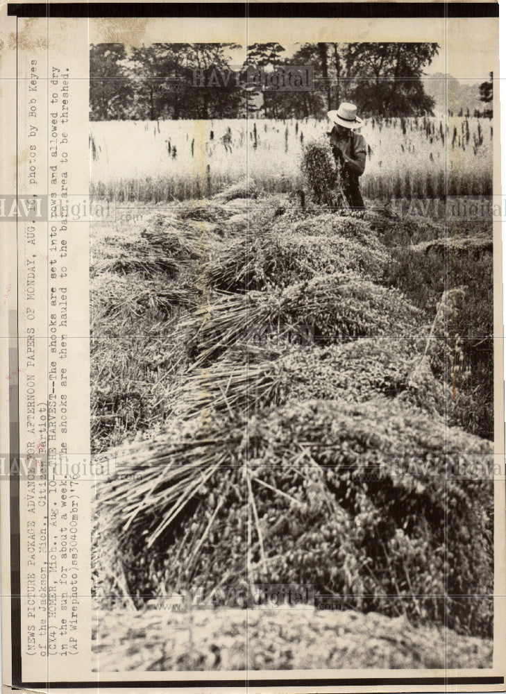 1976 Press Photo Bob Keyes Jackson The Harvest - Historic Images