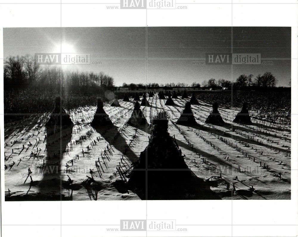 1986 Press Photo Amish - Historic Images