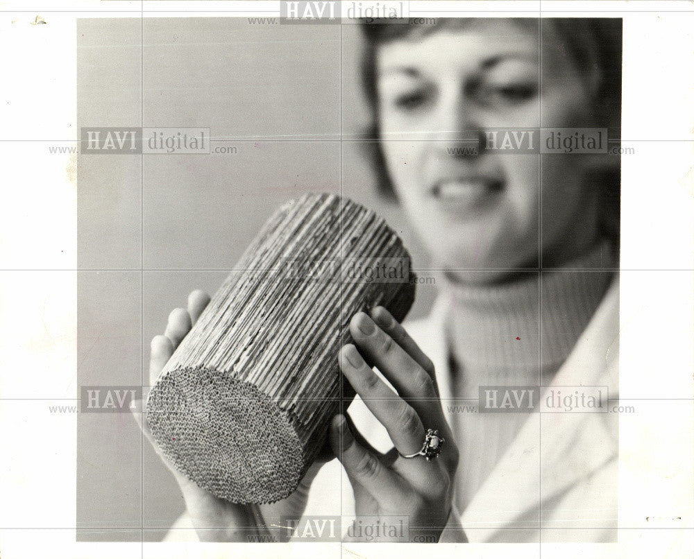 1973 Press Photo Ford, Chrysler  honeycomb - Historic Images