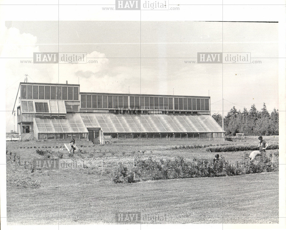 1979 Press Photo Solar Collector Panels - Historic Images