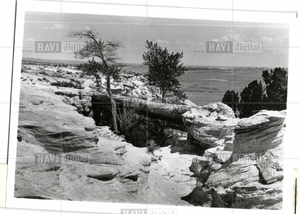 Press Photo Agate Bridge Arizona National Park - Historic Images