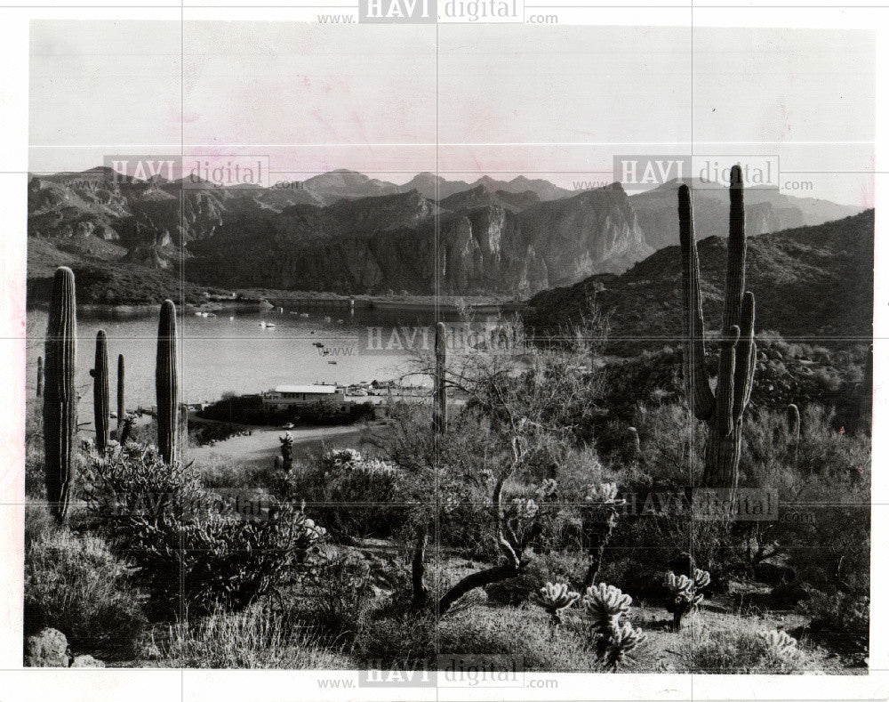 1974 Press Photo Fish - Historic Images