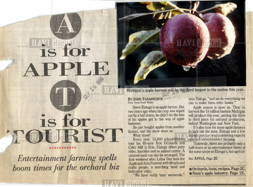 1990 Press Photo Michigan, Apple orchards - Historic Images