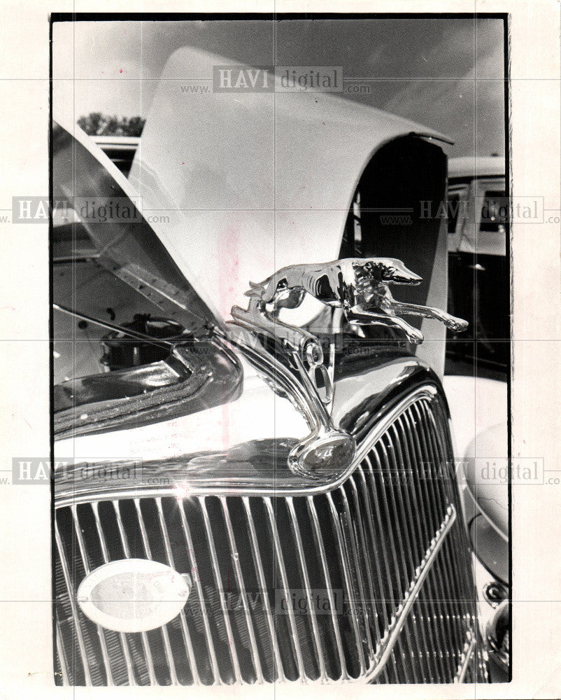 1973 Press Photo Chrome dog car hood - Historic Images