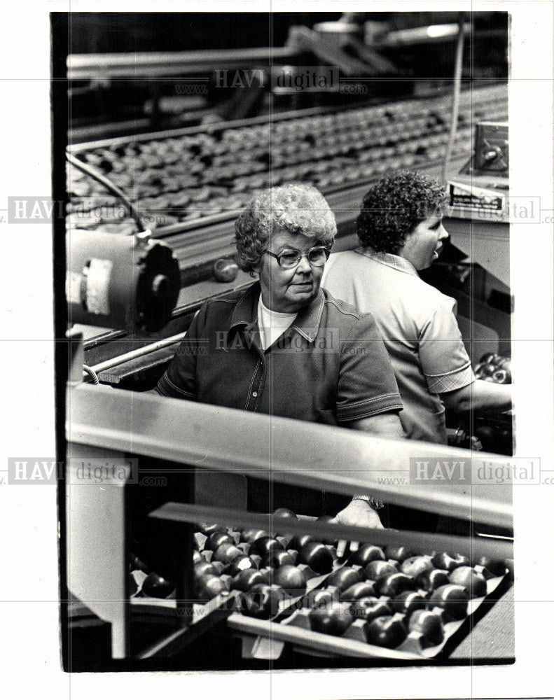 1982 Press Photo apple fruit - Historic Images