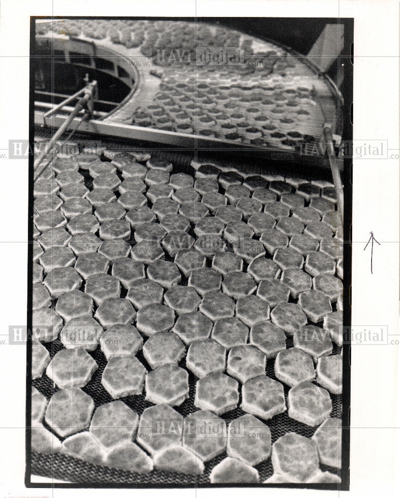 1984 Press Photo Bakery Baking Production Line - Historic Images