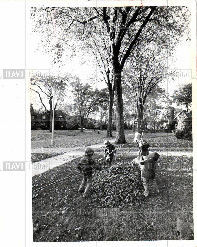 1982 Press Photo Reddest Tree - Historic Images